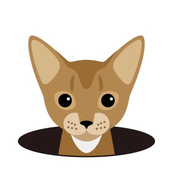 Delikteki sevimli kedi, izliyor, vektör çizimi