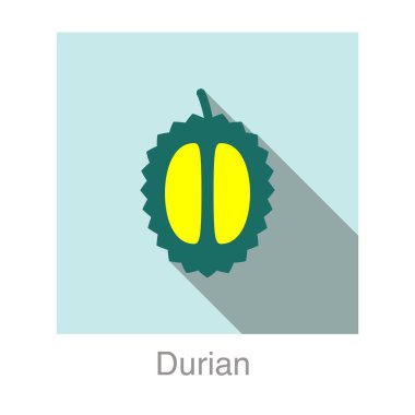 Durian meyve düz simgesi, vektör illüstrasyonu