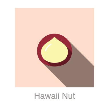 Hawaii fındık düz simgesi, vektör illüstrasyonu