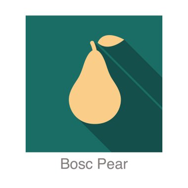 Bosc Armut yassı ikonu, vektör illüstrasyonu