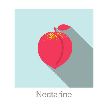 Nektarin meyve yassı simgesi, vektör illüstrasyonu