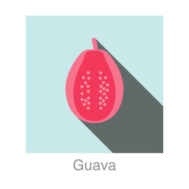 guava meyve düz simgesi, vektör illüstrasyonu