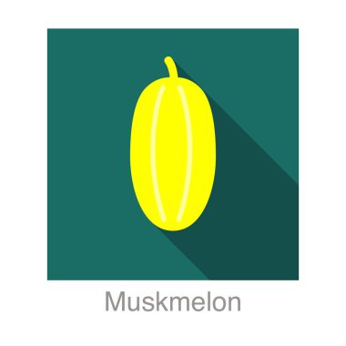 Muskmelon meyve yassı simgesi, vektör illüstrasyonu