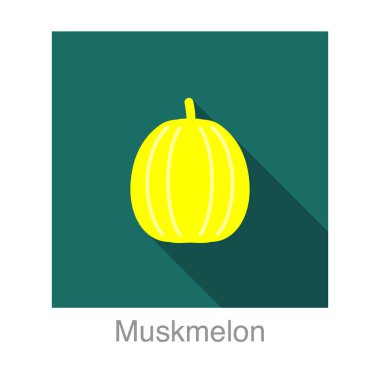 Muskmelon meyve yassı simgesi, vektör illüstrasyonu