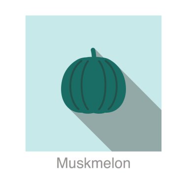 Muskmelon meyve yassı simgesi, vektör illüstrasyonu