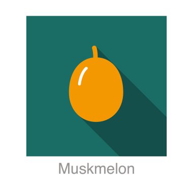 Muskmelon meyve yassı simgesi, vektör illüstrasyonu