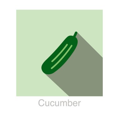 Salatalık sebze gıda düz simge vektör çizim