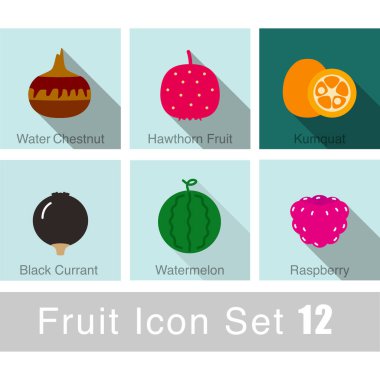 meyve ikonu seti, vektör, karpuz, ahududu, şahin dikeni meyvesi, siyah frenk üzümü, kumkuat, su kestanesi gibi