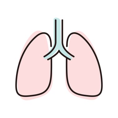 İnsan organı akciğerleri düz simge, vektör illüstrasyonu