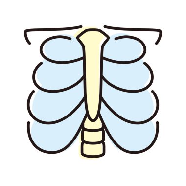 İnsan organı göğüs kafesi düz simgesi, vektör illüstrasyonu