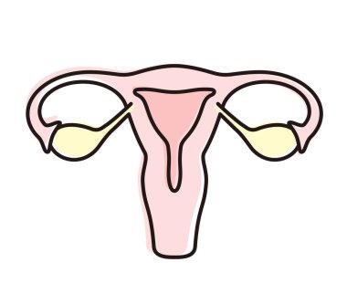 Kadın uterus simgesi, vektör çizimi