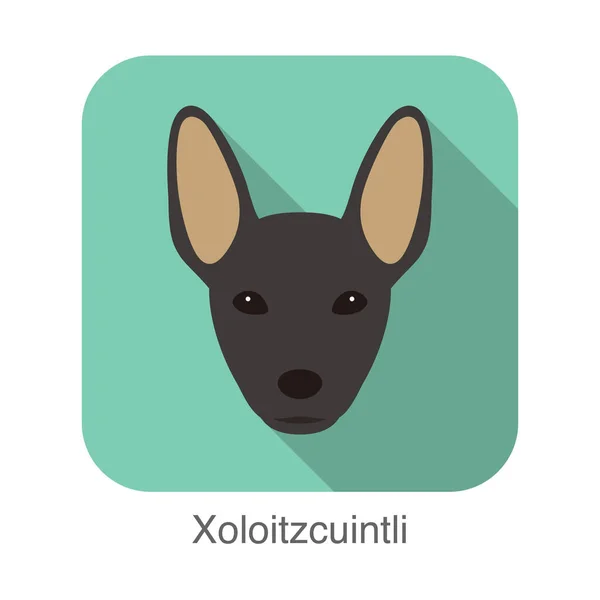 Haarloze Hond Xoloitzcuintli Gezicht Vector Illustratie — Stockvector
