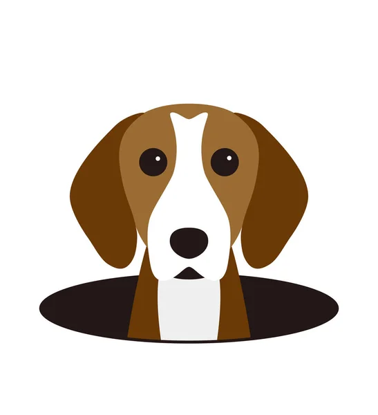 Niedlicher Beagle Hund Auf Dem Loch Beobachten Vektor Illustration — Stockvektor