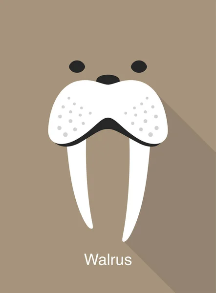 Walrus Face Icon Vector Illustration — Stock Vector