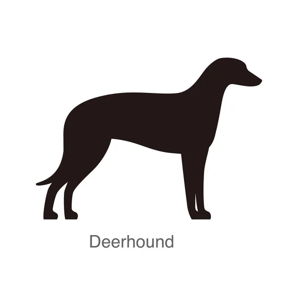 Deerhound Hond Het Gat Kijken Vector Illustratie — Stockvector