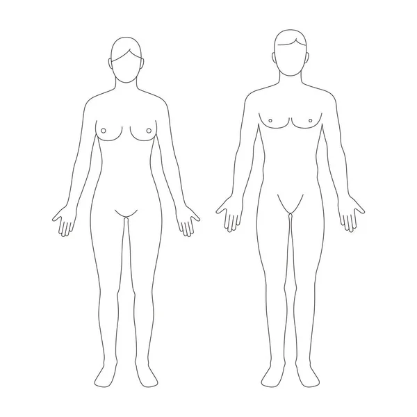 Corpo Nudo Umano Infografica Maschile Femminile — Vettoriale Stock