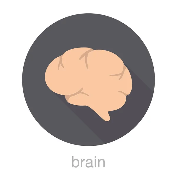 Organe Humain Cerveau Plat Icône Conception Illustration Vectorielle — Image vectorielle