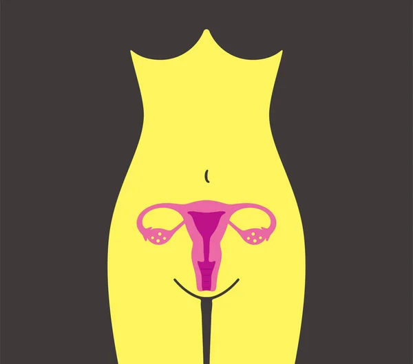 Corps Femme Utérus Organe Illustration Vectorielle — Image vectorielle