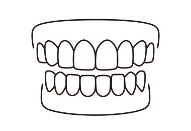 İnsan dişi modeli simgesi, vektör illüstrasyonu