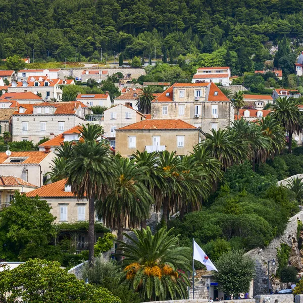 Casas de pedra não altas com telhado de azulejos cercado por árvores verdes — Fotografia de Stock