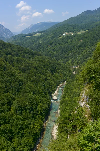 Река Тара, протекающая по дну каньона, Черногория — стоковое фото