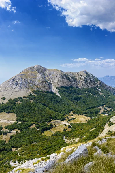 National Park in the north of Montenegro — Stock Photo, Image