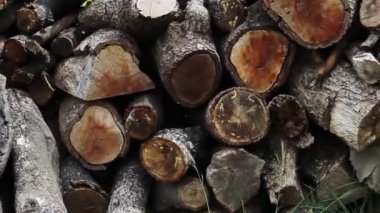 Ahşap kaydırıcı. dökülüyor