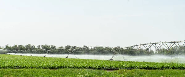 Bevattningssystem För Fält Torka Vattna Fältet Sommaren — Stockfoto