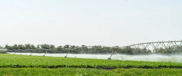 Irrigatiesysteem Voor Velden Tijdens Droogte Het Veld Besproeien Zomer — Stockfoto