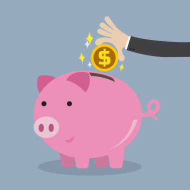 Para biriktirme kavramı