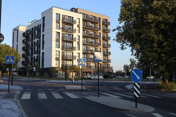 Empty street in the city with building and crosswalk