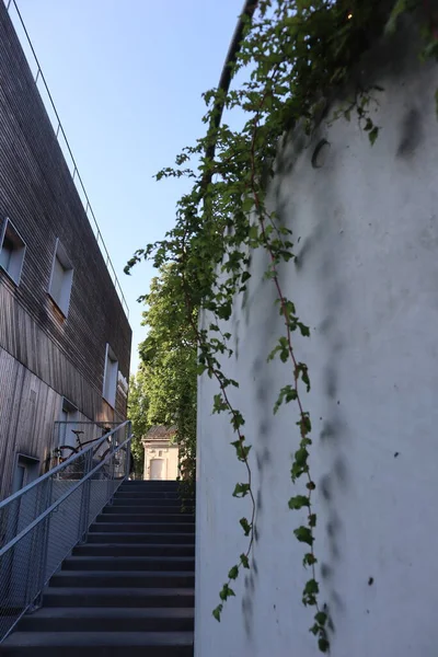 View of the stairs between two brick walls with greenery