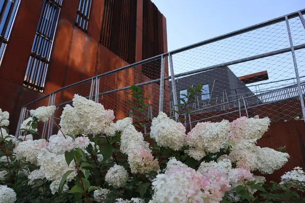 Old rusty building with flowers