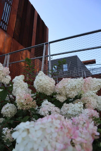 Old rusty building with flowers