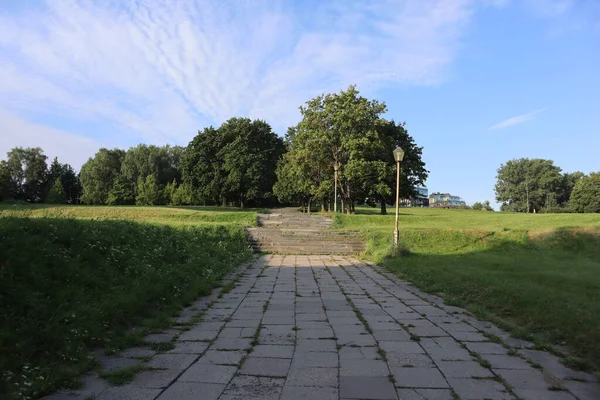 Sunrise in the park in summer, green grass