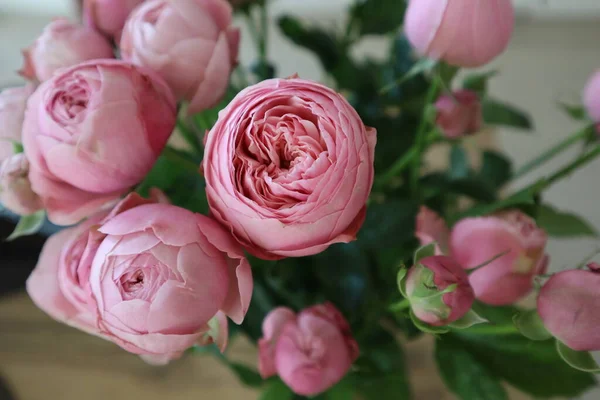 Peony pink roses in a vase