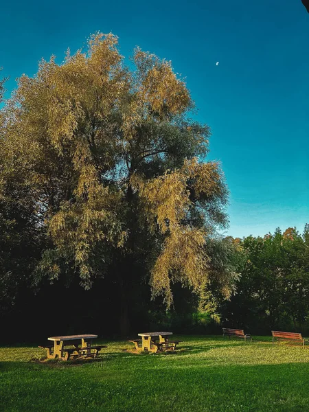 Beautiful sky in the park in the morning with moon
