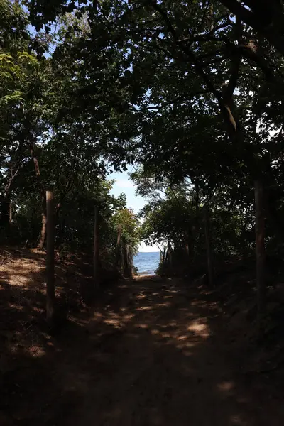 Sea view, sea window, forest, sand