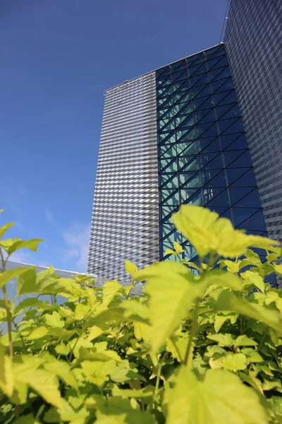 Modern business center, the roof of the building, greenery on the roof