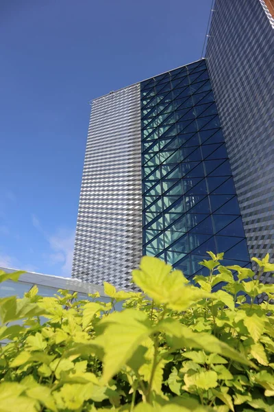 Modern business center, the roof of the building, greenery on the roof