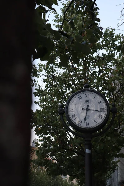 Tall vintage clock in the city