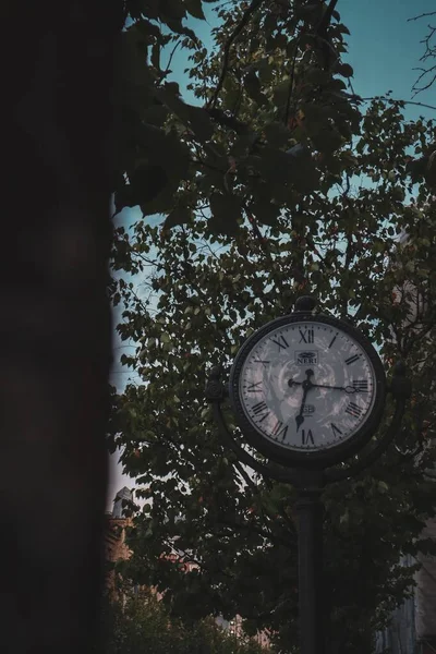 Tall vintage clock in the city