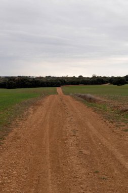 Tarımsal bir araziden geçen asfaltsız yol.