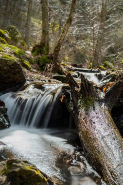 Dağ nehri bir ormandan geçiyor ve Sierra de Madrid yakınlarındaki kayaların üzerinden geçiyor.