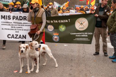 Madrid İspanya; 20 Mart 2022: Madrid kırsal dünyasının tanıtımı. Yüz binlerce protestocu 