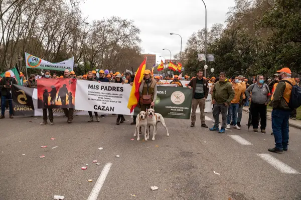 Madrid İspanya; 20 Mart 2022: Madrid kırsal dünyasının tanıtımı. Yüz binlerce protestocu 