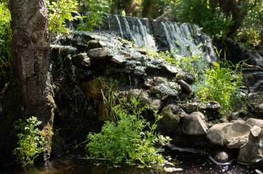 Kaynayan su ve taşlar. Şelale düşüyor. Arkaplan dokusu.