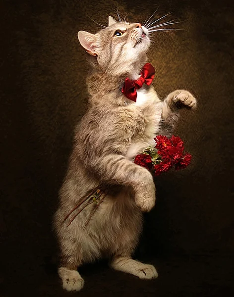 Кошка с цветами Стоковая Картинка