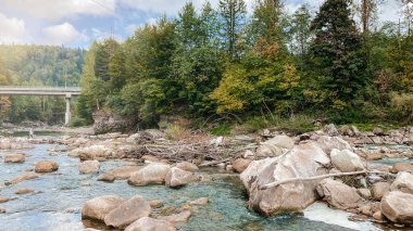 Sonbaharda Ukrayna, Karpatlar 'da güzel bir orman arasında akan dağ nehri..