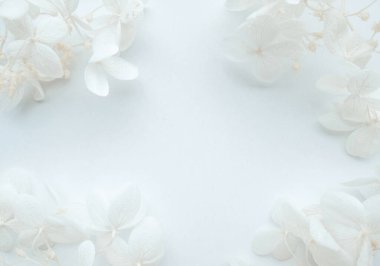 Beyaz arkaplandaki mavi ortanca çiçeklerinin çiçek bileşimi.